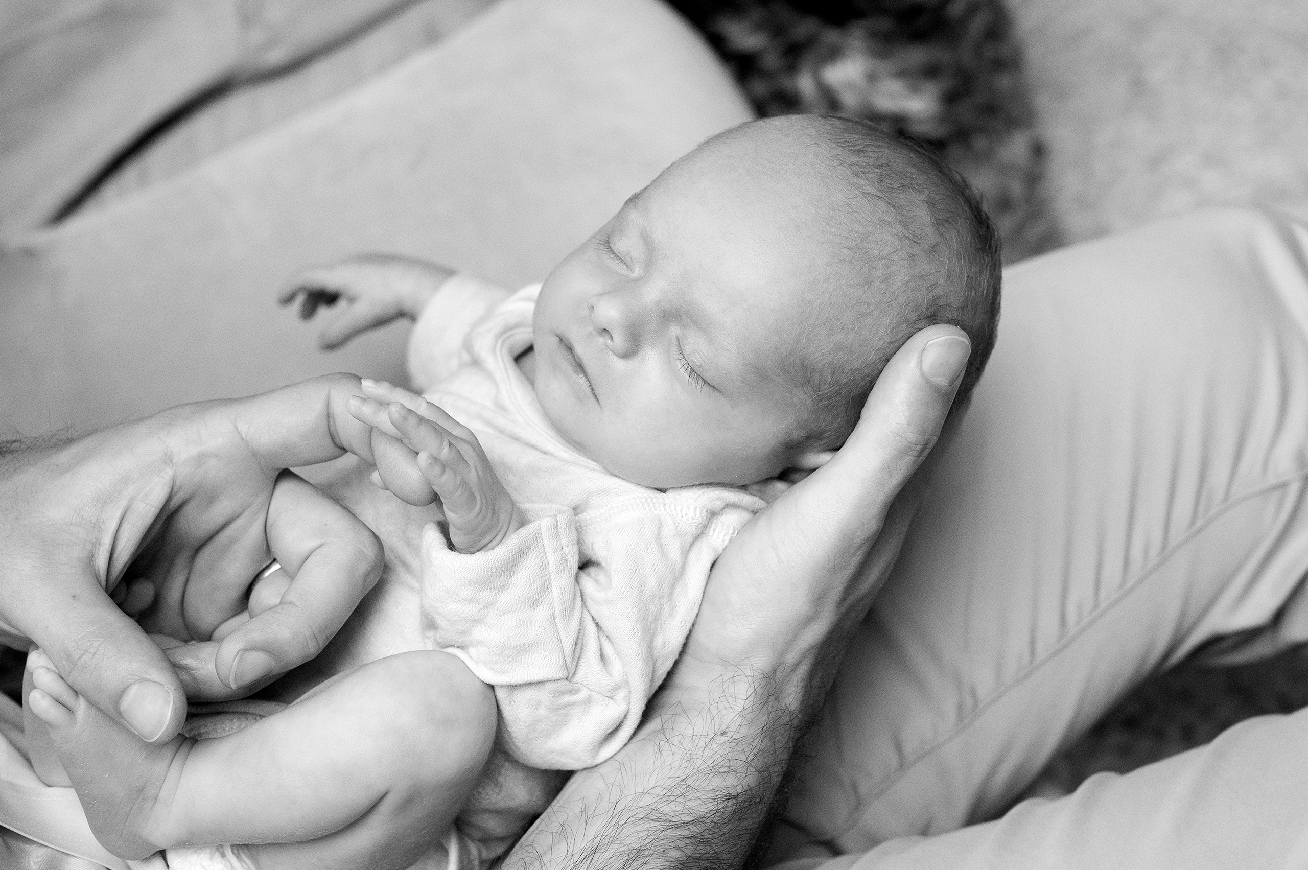 Newborn